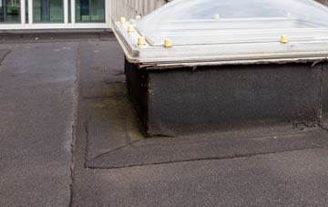 disadvantages of West Stour flat roofs