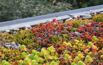 the cost of West Stour green roof installation