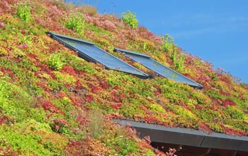 West Stour living roof systems