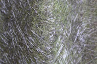 West Stour fibreglass roof work